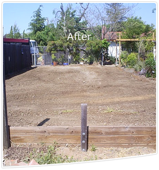 After Pool Removal