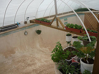 Creative Use of a swimming pool